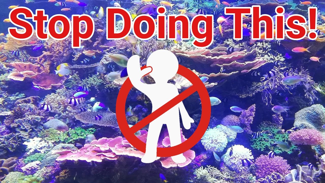 10 вещей, которые стоит прекратить делать любителям рифинга