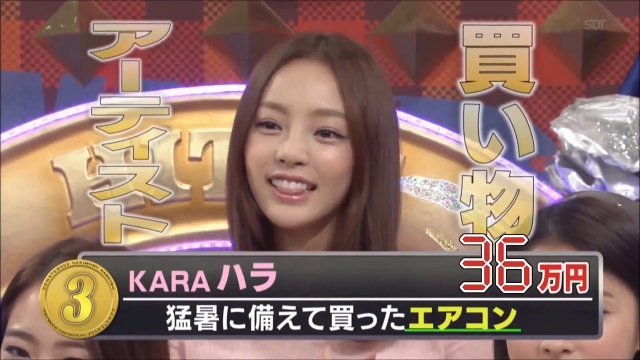 ハラちゃんDX　「お買い物と溺愛ペットをご紹介」