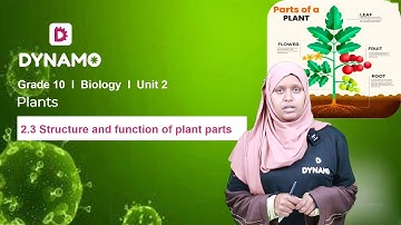 Grade 10 || Biology || Unit 2 || Plants || Part 3 || 2.3 Structure and Function of Plant Parts