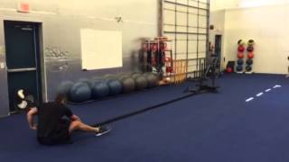 Seated Sled Rows