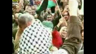 علي الكوفيه