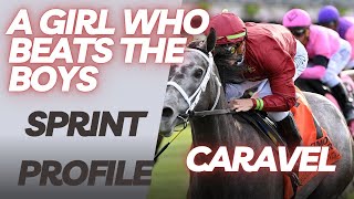 **CARAVEL HORSE PROFILE**