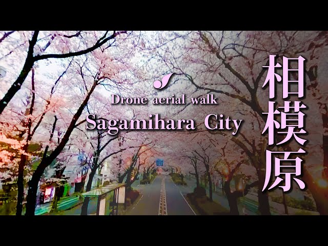 すず☆らん　空の記憶⭐︎6粒の空　338空玉　　お取り置き Amazon.co.jp: 龍神 如意宝珠 無業息災 健康 所願成就 風水