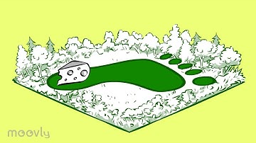 The Ecological Footprint Explained