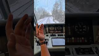 Weg Da Rehe Im Gleis.