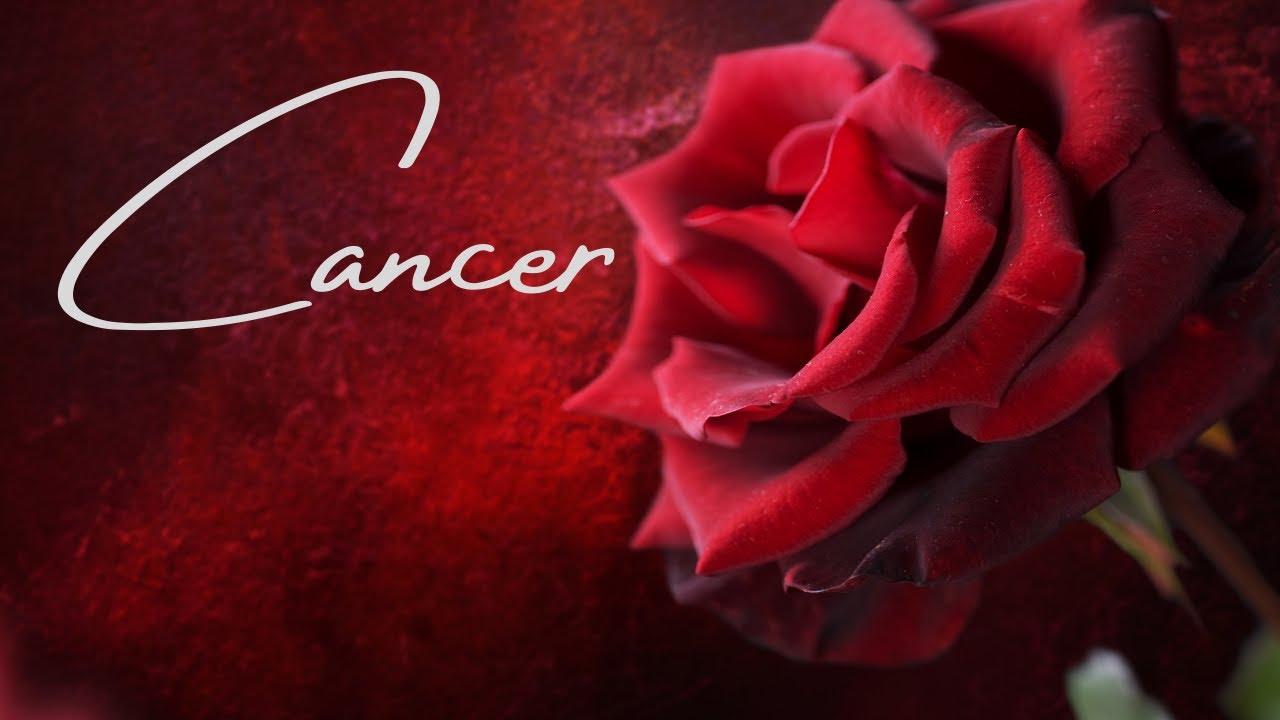 Cancer 💖~ What Do They REALLY Want From You? ~ (🔥MUST WATCH EXTENDED!!🔥)