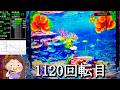 Pスーパー海物語IN沖縄6【沖海6】パチンコライブ配信 海物語ライブ生配信 こあげホール実践実機配信 『こあげ ++1094 海物語Live』