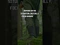 Bugging In vs Bugging Out Strategy #campinghacks #prepperlife #survivaltips #preppertips #survival