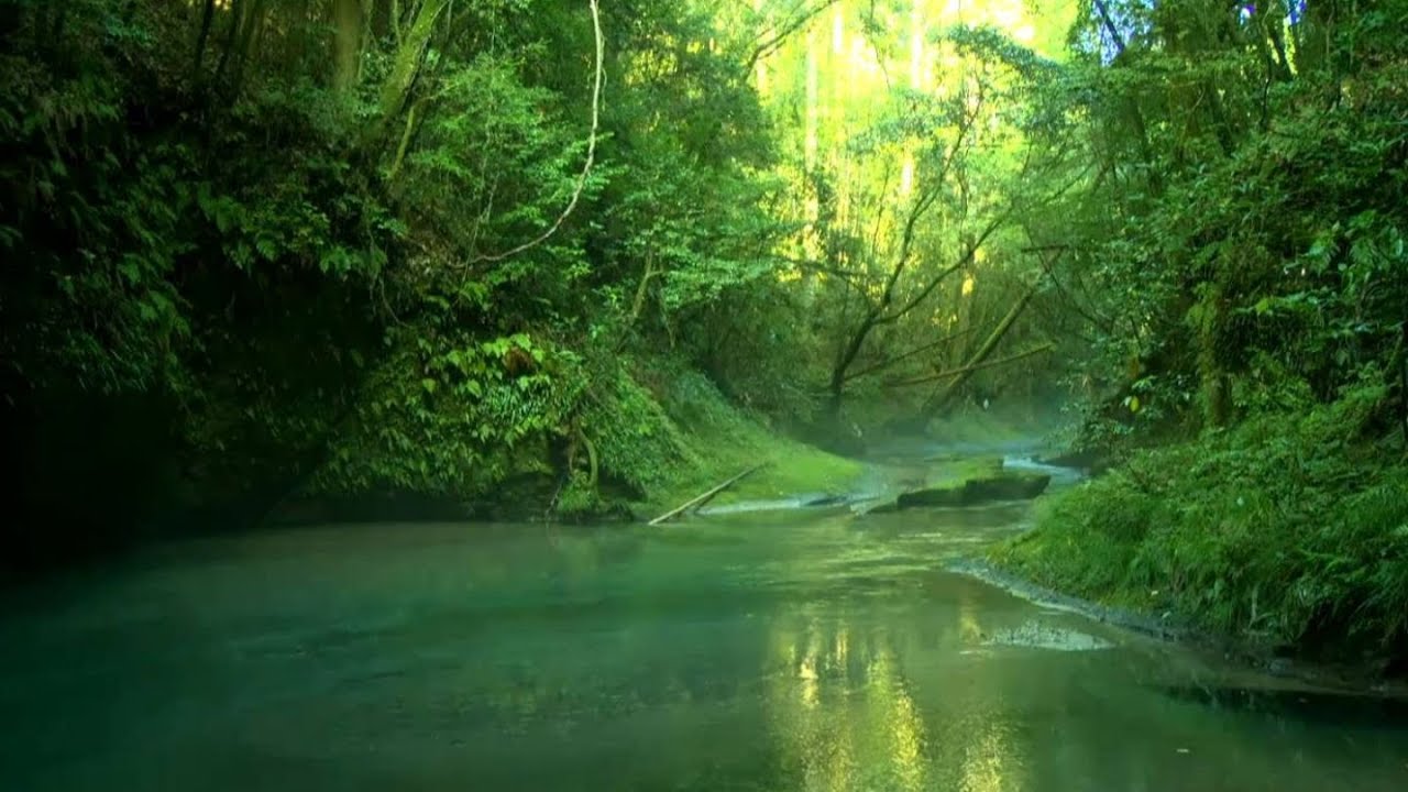 大 出水 の 湧 水