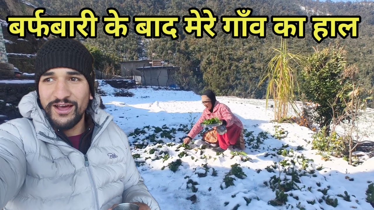 मेरा गाँव बर्फबारी के बाद कुछ ऐसा होता है || Snowfall In my village || Gadgu || Kedar Ka Anurag 
