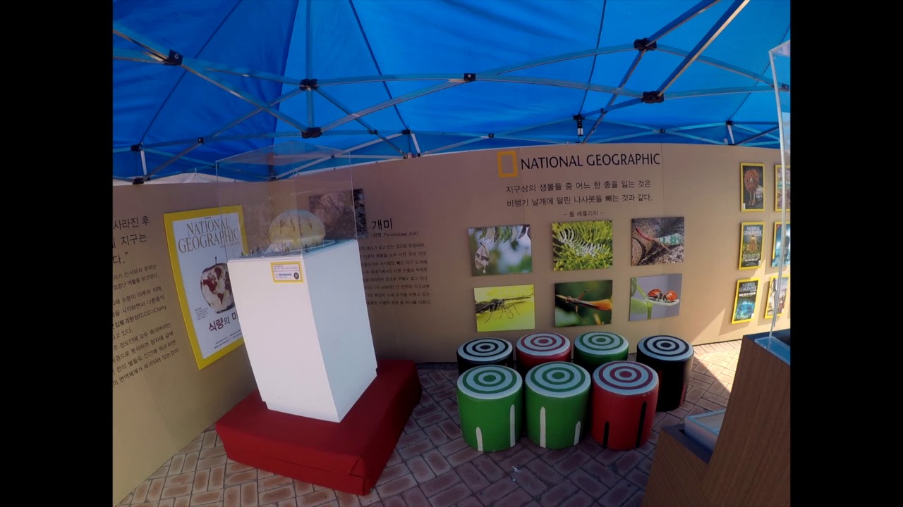 Gwacheon Science Museum Field Trip