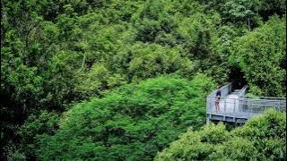 Why Couldn't We Keep That - Taynte