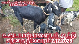 உடையார்பாளையம் ஆட்டு சந்தை நிலவரம் 2.12.2023 #aadusanthai #kodiaadu #goat