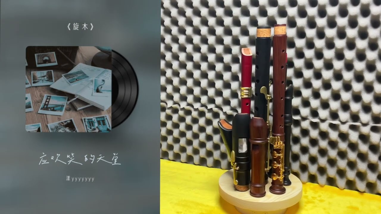 Merry-go-round Recorders (Bernolin resin alto and Kung Superio sopranino)