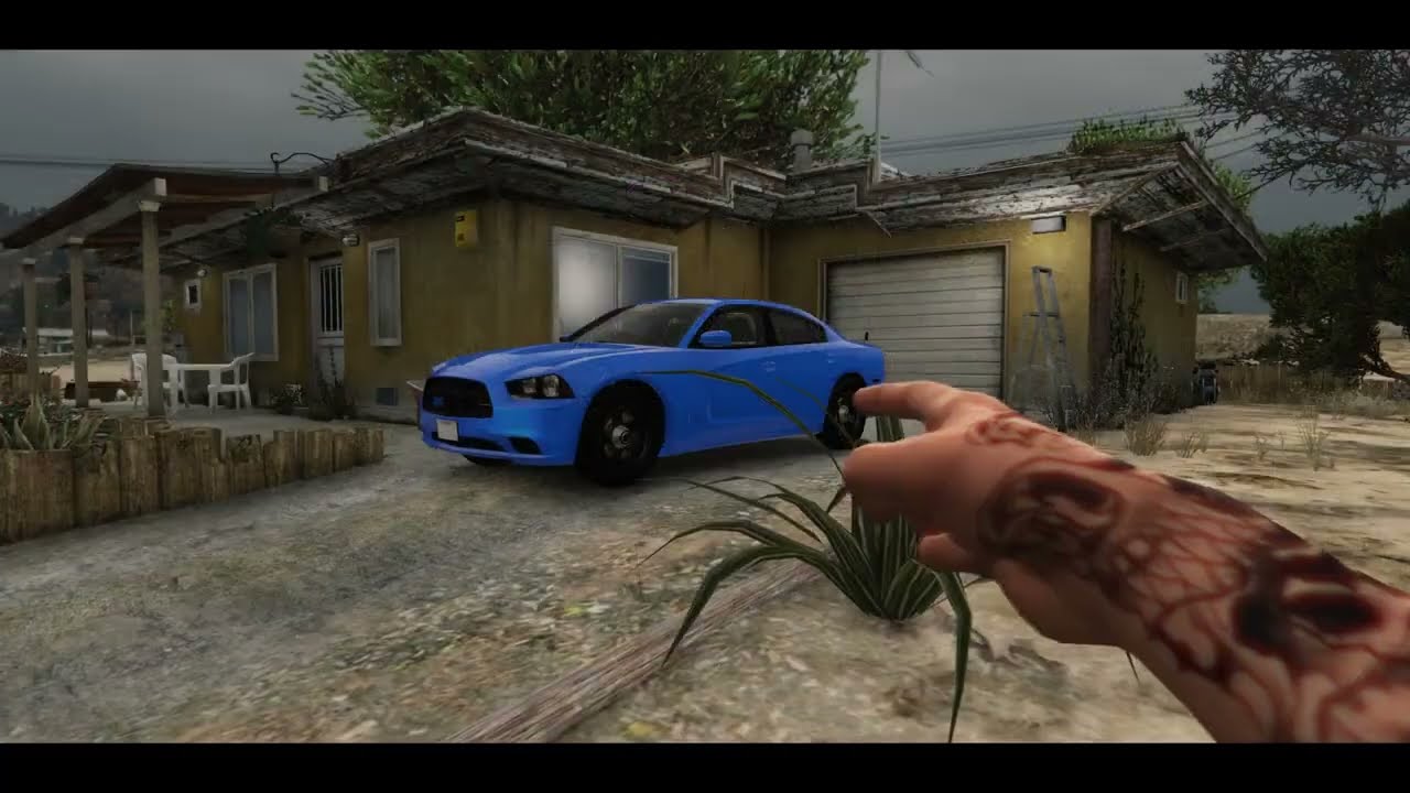 ALS PROJECT BE COOL 🌴 | FIVEM RP