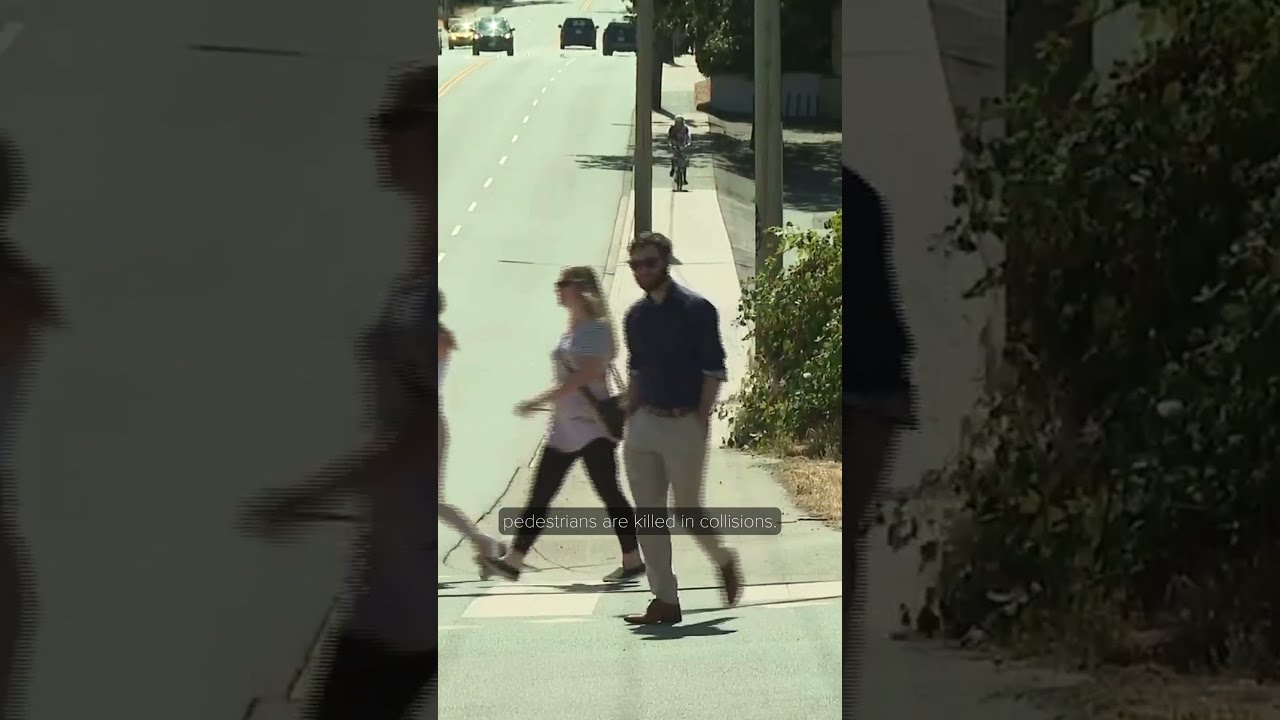 Deadly Summer Collisions Kill At Least Four Cyclists And Pedestrians