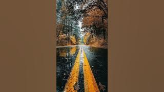 Rowlene - Curtain Call (DJ Chello Remix)