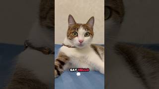 If U Scrolling And Like Me