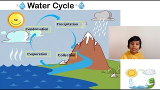 Water Cycle For Kids Water Cycle Experiment At Home Learning With Devansh