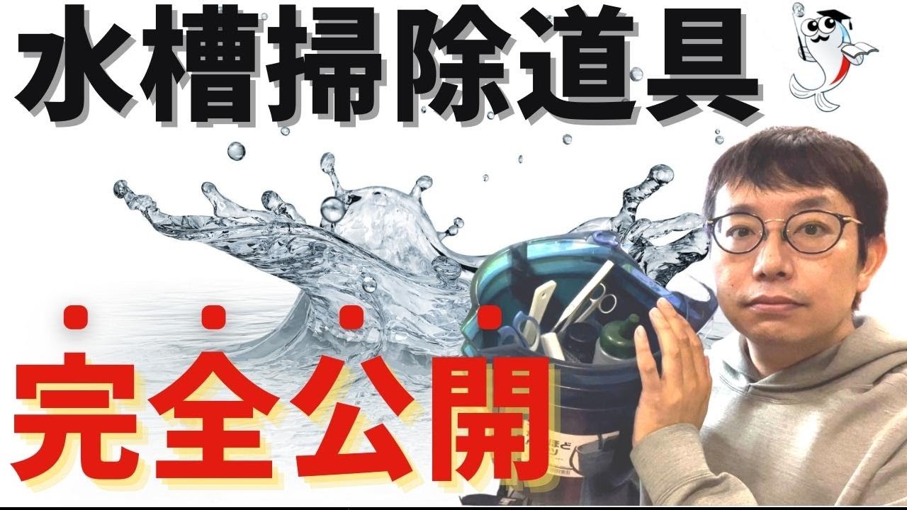 水槽や台、メンテナンス道具全て込みで フジクリーン T6メンテナンスセット 補修部品 ダイヤフラム : 水彩