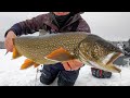 FIRST ICE LAKE TROUT 2021 (Jigging Tips)