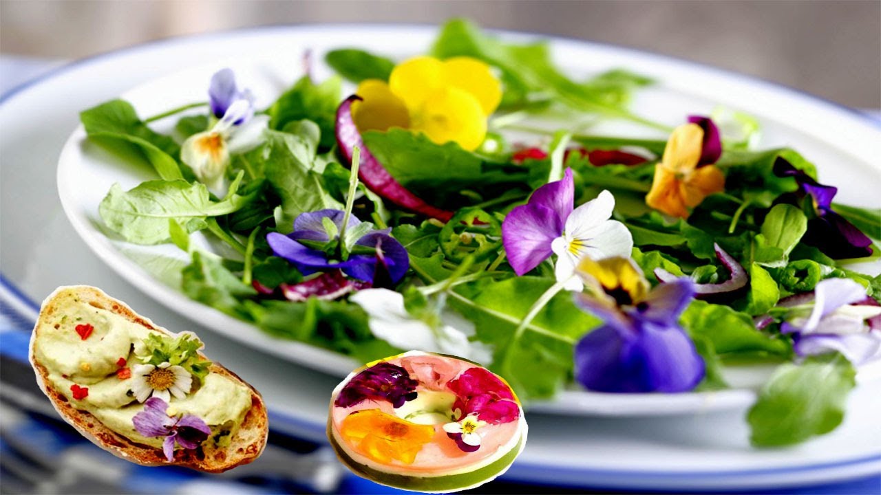 6 Edible Flowers With Many Health Benefits