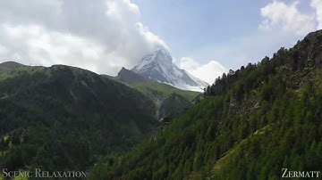 واصبر نفسك مع الذين يدعون ربهم بالغداة والعشي يريدون وجهه | تلاوة رائعة بصوت هادئ