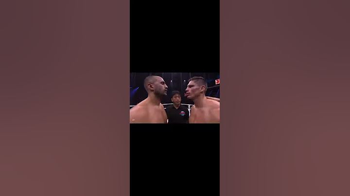 Badr hari vs Rico verhoeven samenvatting