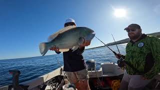 Tusky fishing MoretonBay - full episode 1 #stinkyfingersfishing screenshot 1