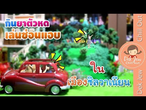 เด็กจิ๋วเล่นซ่อนแอบ แบบตัวหด ในเมืองซิลวาเนียน