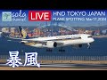 🔴LIVE【暴風】羽田空港ライブカメラ Windy Tokyo Haneda Airport Plane Spotting 3.17.2024🔴