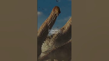 هدوء و سكينة #قرآن #القرآن_الكريم #قران_كريم #راحة_نفسية#رمضان #سورة #فضل #فلسطين #song#love #حديث