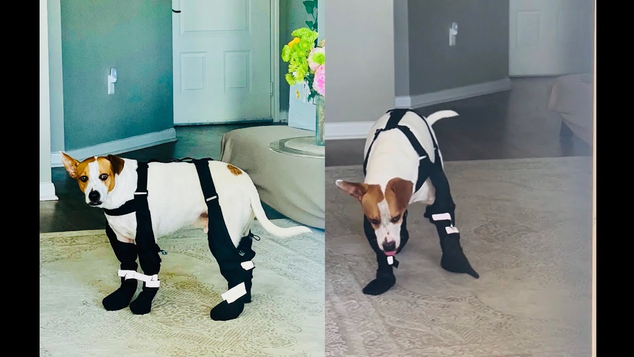 Finally Found the Perfect Non-Slip Suspender Boots for Snow, Sleet & Heat! 