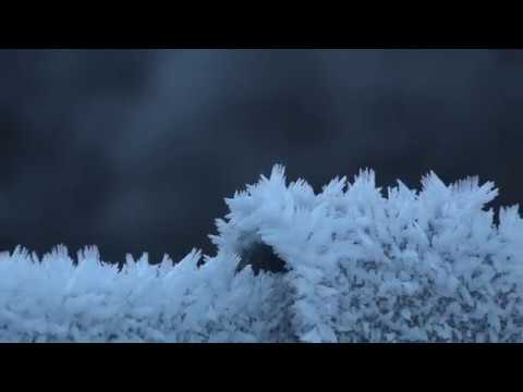 Video: Quali Cambiamenti Avvengono In Natura In Inverno