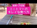 【ミニトマトのキレイな食べ方】ちょこっとテーブルマナー講座