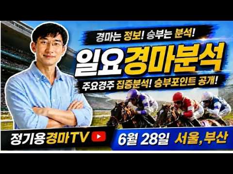 [정기용경마TV]🔴🎯 6월28일 일요경마분석 핵심포인트공개 🧿대상경주 문세영조교사개업 🟢정기용경마 서울경마 부산경마 배당 노림수🔷🎉