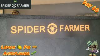 Day 60 Seed to Harvest Autoflower Series  Spider Farmer SE3000 & 3x3 Grow Tent