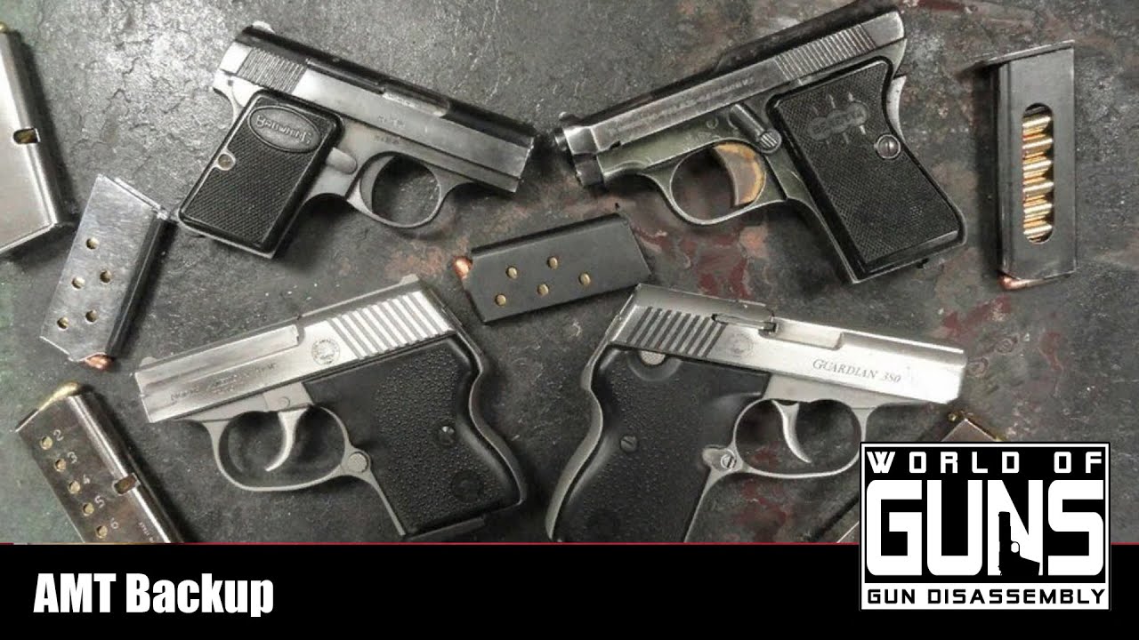 World of Guns - AMT Backup