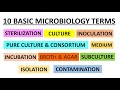 Basic terms used in microbiology  class for microbiology freshers  concepts in microbiology 