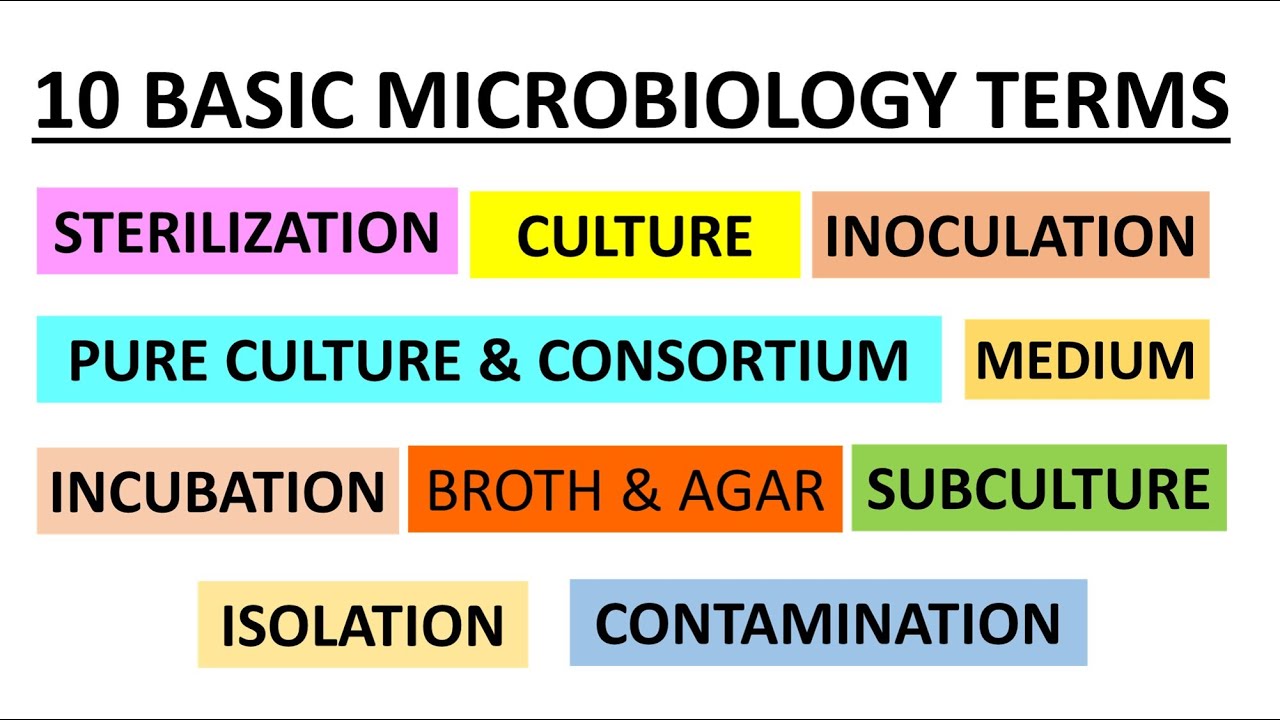 Basic terms