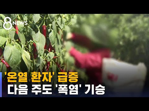 장마 끝나자마자 '온열 환자 급증'…다음 주도 폭염 기승 / SBS 8뉴스