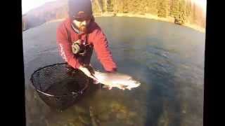 Fall Kenai Bow.wmv