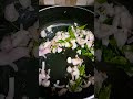 avaraikai#vegetable #health #benefits #healthy #food#foodie #home#cooking #homemade #recipe #reels #