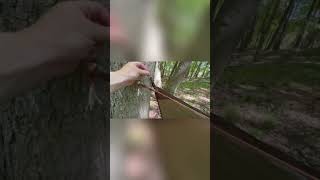 Quick-Release Tarp Rigging