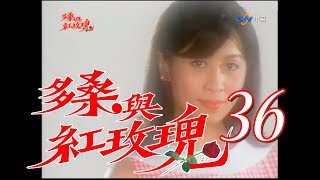 『多桑與紅玫瑰』第36集（劉嘉玲王識賢藍正龍陳冠霖黃仲崑 ... 