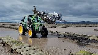 Oyster Trestle Manipulator