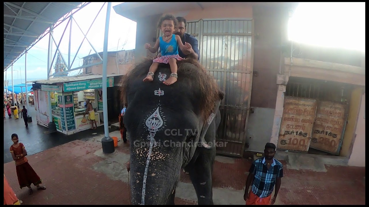 Little girl on elephant at Tiruchendur / Thiruchendur@cgltv