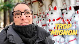Le temple des 1000 chats & l'expérience TeamLab ! 🇯🇵