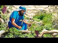 088 -‬ الكرمة والأغصان  (Arabic-Ketab El Hayat)