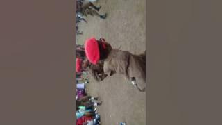 ditlhagane soldiers @codesa marapyane